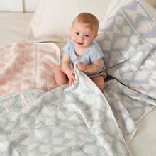 Load image into Gallery viewer, Pendleton Falcon Cove Woven Baby Blanket
