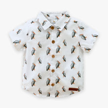 Load image into Gallery viewer, Velvet Fawn: Pelican Button Down
