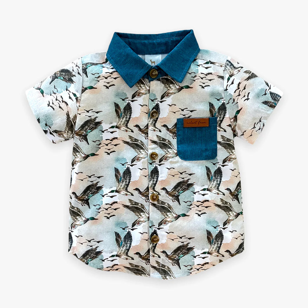 Velvet Fawn: Nash Button Down