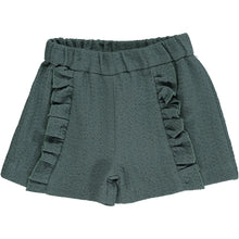 Load image into Gallery viewer, Vignette: Paisley Shorts
