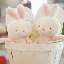 Load image into Gallery viewer, Bunnies by the Bay: Friendly Chime Pink Bunny
