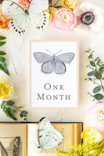 Load image into Gallery viewer, Baby Milestone Cards: Butterflies
