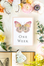 Load image into Gallery viewer, Baby Milestone Cards: Butterflies
