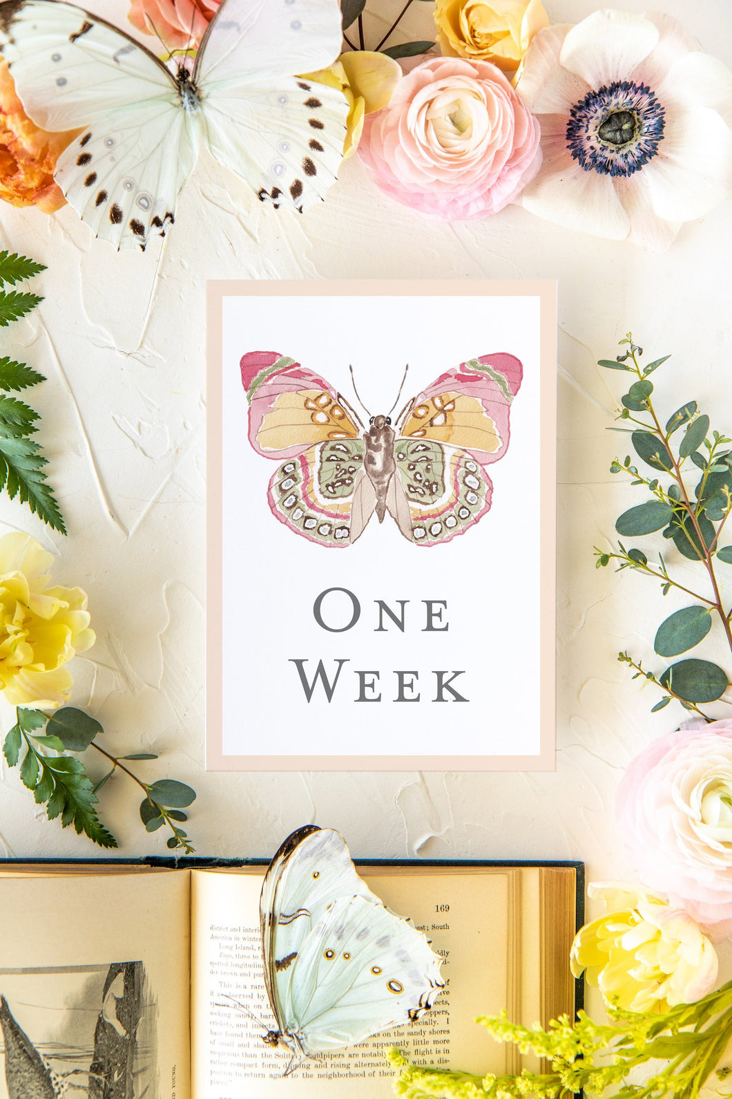 Baby Milestone Cards: Butterflies