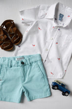 Load image into Gallery viewer, Byrdees: Shorts - Southern Charm (Teal)
